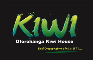 Kiwi - Otorohanga Kiwi House - Kiwi Conservation Since 1971