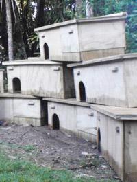Build a Kiwi Nesting Box - Otorohanga Kiwi House